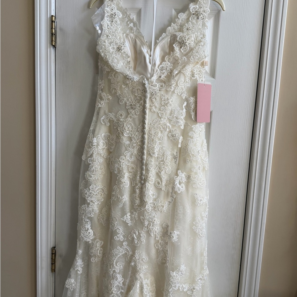 Elegant Lace V-Neck Wedding Dress in Ivory